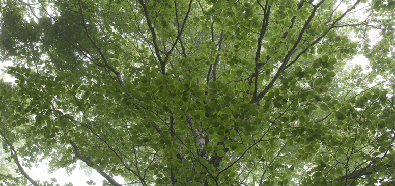 Játékok XI – Zene lélektől lélekig